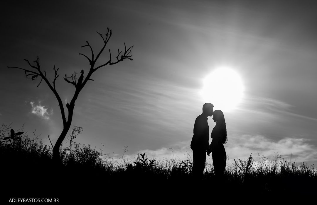 NZ6_2581-Editar