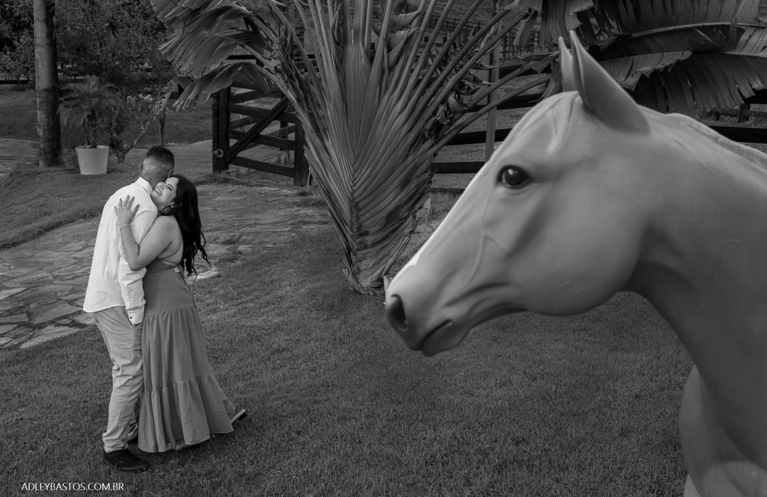 NZ6_3472-Editar