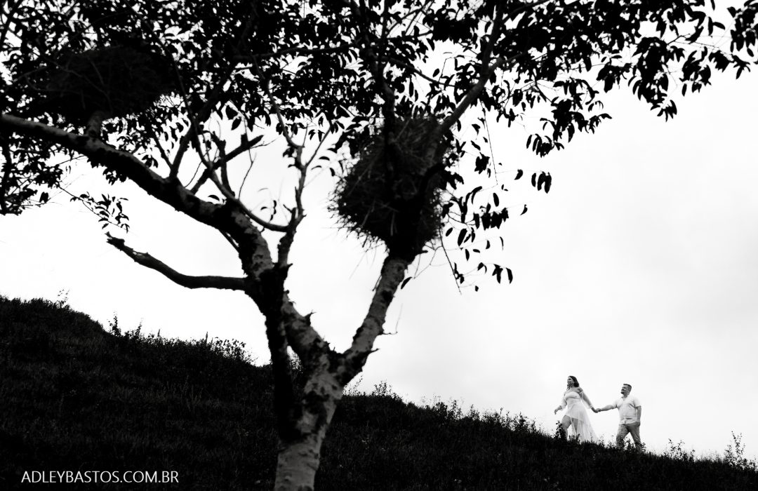 NZ6_8961-Editar